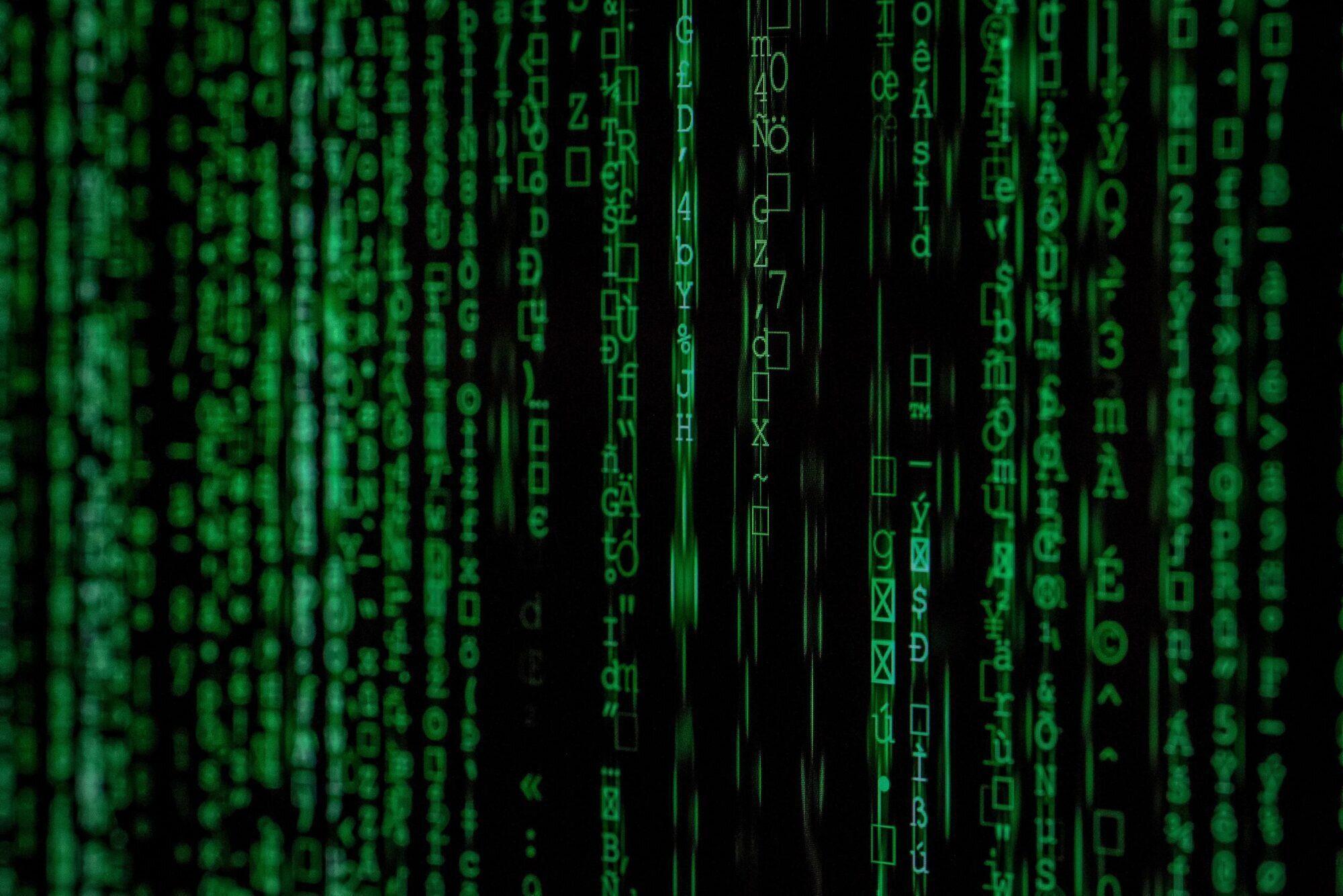 green data on black screen